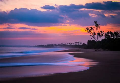 Tapety Zdjęcia Sri Lanka Palmy Ocean Zachód Słońca Plaża