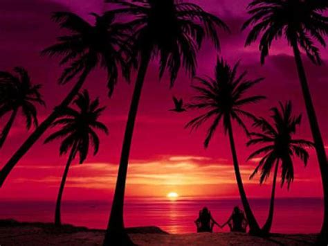Free Download Wallpapers Living Beaches Animated Wallpaper Animated Wallpaper X For Your