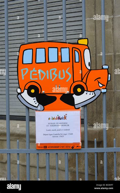 Pedibus Hi Res Stock Photography And Images Alamy