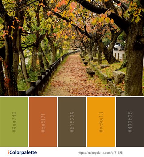 Color Palette ideas from 191 Autumn Images | iColorpalette | Nature color palette, Fall color ...