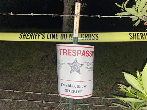 News break provides latest and breaking news about #aiden fucci. Investigating Tristyn Bailey's murder, Sheriff says "Our ...
