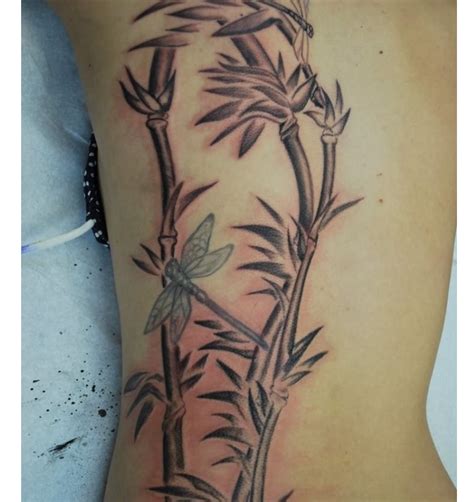 14 Indigenous Bamboo Tattoos Designs Bamboo Tattoo Tree Tattoo