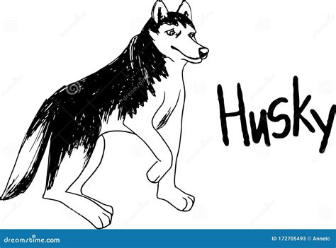 Vector Siberian Husky Isolated On White Background Vintage Hand Drawn