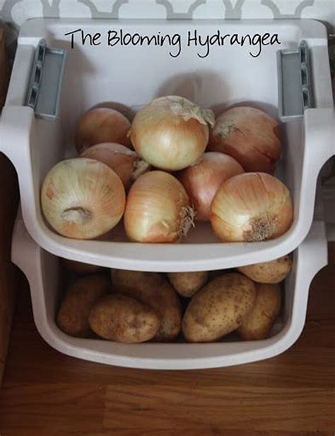 You can also store potatoes by canning them or dehydrating them. 14 Best Fruit and Vegetable Storage Ideas for 2020