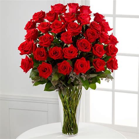 Per mazzi superiori a 12 rose rosse contattare il fiorista simone 339 1586959 anche whatsapp oppure inviare una mail a . Immagini Rose Rosse - Sfondi HD (45 Foto) | Bonkaday.com
