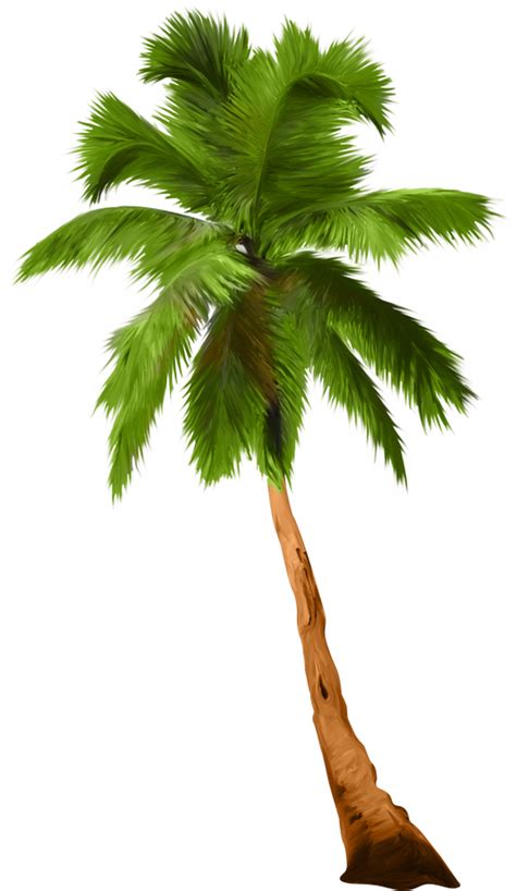 Palm Tree Hawaiian Free Download On Clipartmag