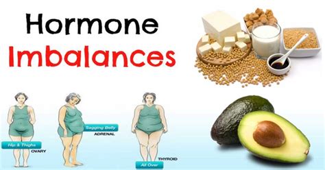 Which Foods To Eat And Avoid To Prevent Hormonal Imbalance
