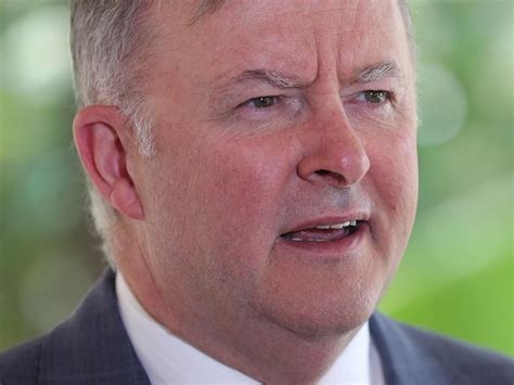 Anthony Albanese Labor Party Leader News And Updates Au
