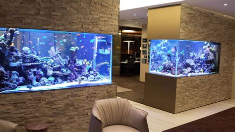 30 Beautiful Fish Tanks How Much Are These Bubblepinch Fish Tank