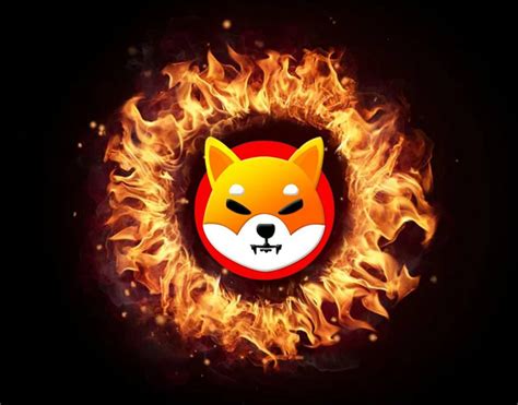 Shiba Inu Team Comments About Burning 1 Trillion Shib Tokens