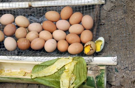 Download the fatkun batch download image extension 5.5.14 crx file free for google chrome at chrome web store. Download Image of A batch of eggs roasted over an open ...