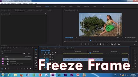 Adobe Premiere Pro Cc 2017 Freeze Frame Youtube