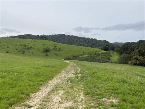 Best Hikes And Trails In Rancho Laguna Park Alltrails