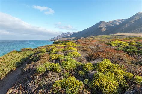 Colorful Garrapata State Park Photograph By Joseph S Giacalone Fine