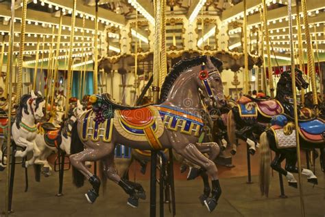 Merry Go Round Carousel Horses Amusement Park Stock Image Image Of