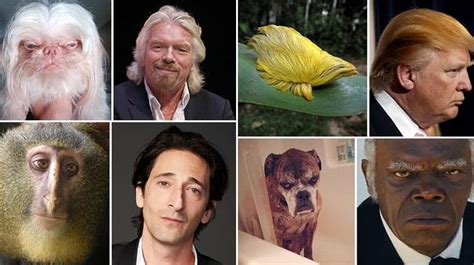 Animals Who Look Just Like Famous Celebrities