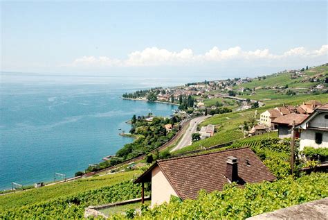 Tripadvisor has 2,364,399 reviews of switzerland hotels, attractions, and restaurants making it your best switzerland resource. Cully, Switzerland - Wikipedia