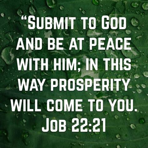 Pin By Quotes For Success On Biblical Finances Peace Quotes