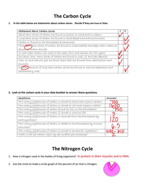 This activity is intended to encourage cooperative learning and communication between. Nitrogen Cycle Worksheet Answer Key