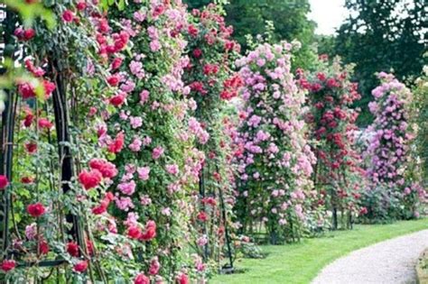 47 Erstaunliche Rosengarten Ideen Zu Diesem Jahr Rose Garden Design
