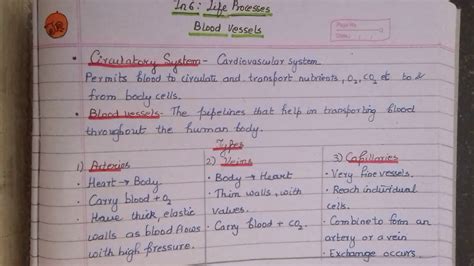 Blood vessel chart (page 1. Blood Vessels : Class 10 Tarannum - YouTube