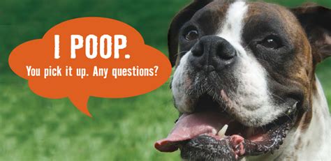 Why Pickup Dog Poop Pet Waste Removal Service Listings Directory