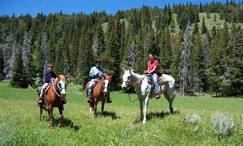 Yellowstone Horseback Riding Horse Trail Rides Alltrips