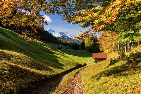 Download Bavaria Germany Mountain Tree Road Photography Fall 4k Ultra