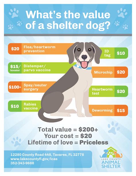 What Is The Value Of A Shelter Dog Priceless