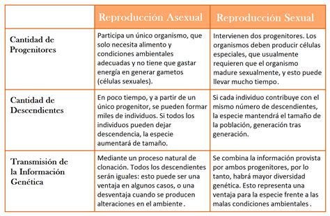 Diferencia entre reproduccion sexual y asexual