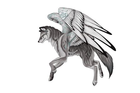 Draw This Again Winged Wolf By Amber100 On Deviantart Clipart Best