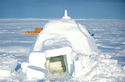 Fileigloo In Alert Nunavut Wikimedia Commons