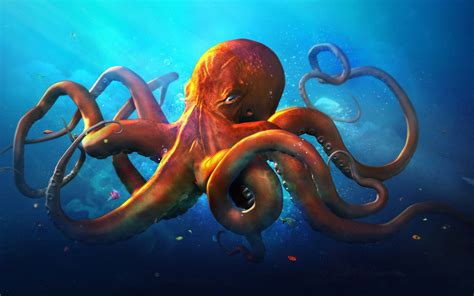 Octopus Wallpapers On Wallpaperdog