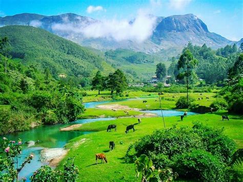 Beautiful Munnar Munnar Kerala Tourism Places To Visit
