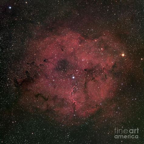 The Large Ic 1396 Emission Nebula Photograph By Robert Gendler Fine