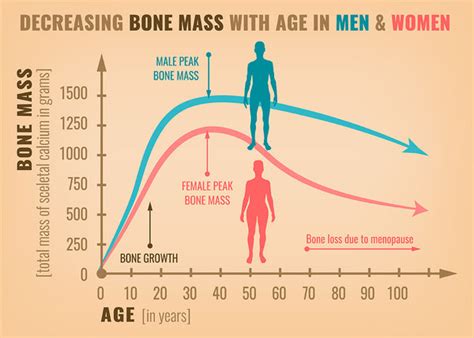 Does Rebounding Increase Bone Density