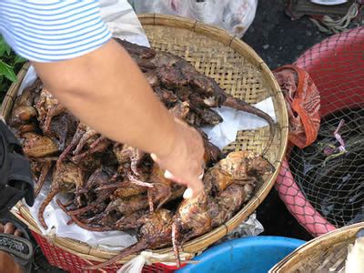 Dass du mich liebst einnehmen spiel, ungesund, schlau. TIPS & TRICKS OF TRAVELs: 14 Asian "Delicacies" You ...