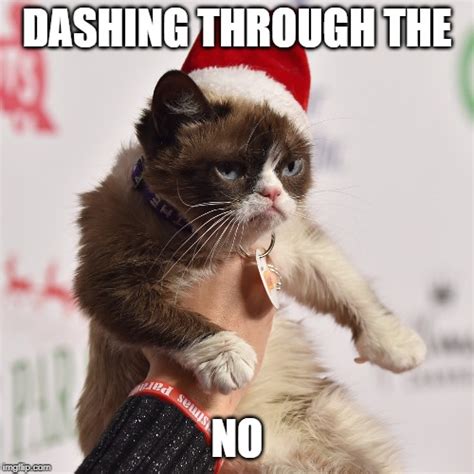 Gallery The Best ‘grumpy Cat Memes Of All Time Nbc4 Wcmh Tv