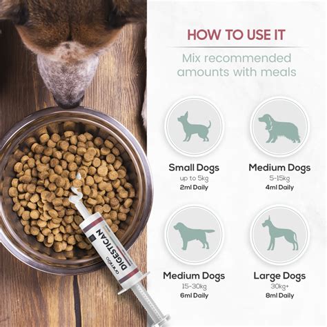 What are dog digestive disorders? Digestican Paste | Digestive Aid for Cats and Dogs ...