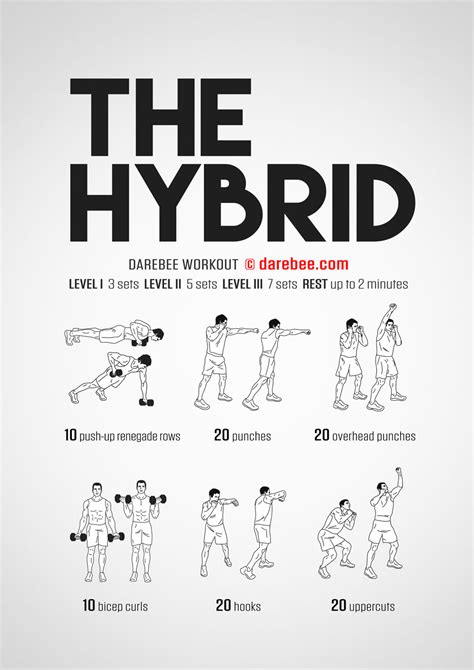 Hybrid Bodyweight Exercises Tutorial Pics