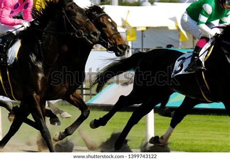 Thoroughbred Race Horse Running Scene Stock Photo 1399743122 Shutterstock