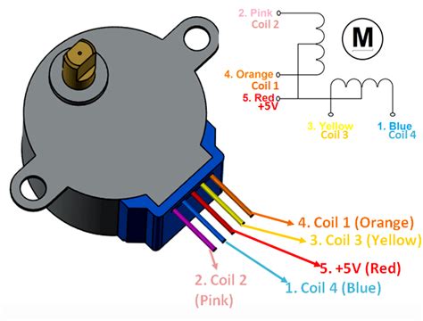 5 Wire Stepper Motor Wiring Diagram Wiring Diagram And Schematics