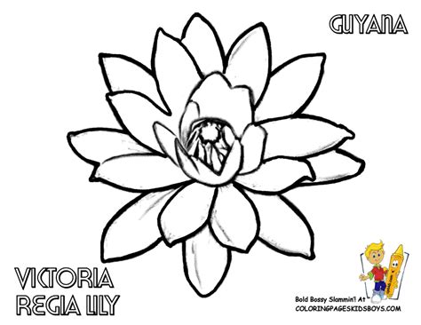 Lily Pad Flower Coloring Pages - Coloring Home