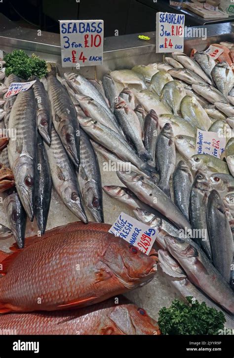 Manchester Indoor Market Fishmonger Fresh Fish Daily Whales Fish