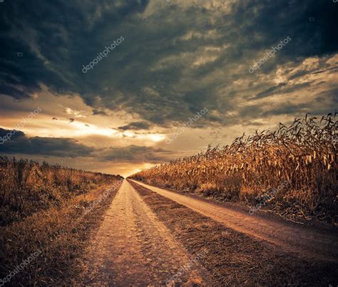 Corn Field Road — Stock Photo © Blazeofglory 9029426