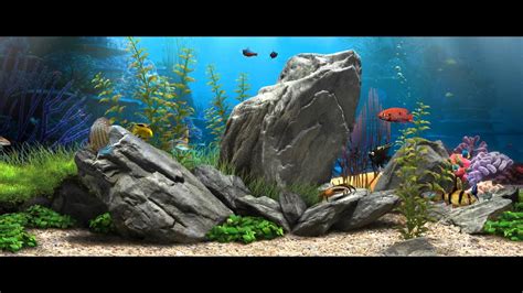 3d Fish Aquarium 219 Live Wallpaper 1080p Youtube