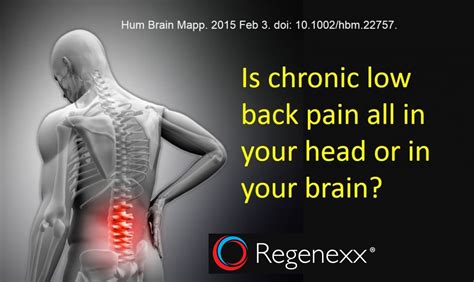 Chronic Low Back Pain Is In Your Back And In Your Brain Regenexx