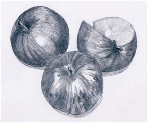 Sketsa secara umum dikenal sebagai gambar mewarnai buah apel dan terdapat beberapa gambar apel yang beda dengan resolusi besar. Sketsa Gambar Apel | Belajar Gambar | MULTI INFO