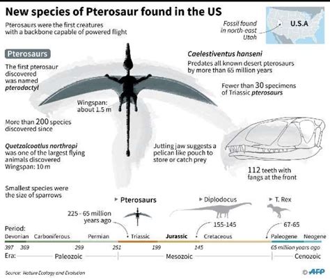New Species Of Flying Reptile Discovered In The Us Factfile On Caelestiventus Hanseni A New