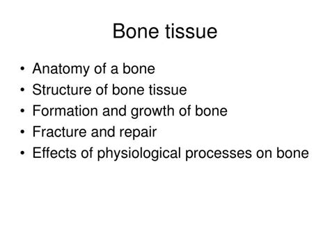 Ppt Bone Tissue Powerpoint Presentation Free Download Id488834